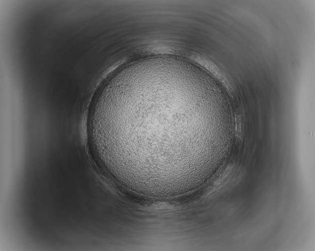 X0000102270390200808081445