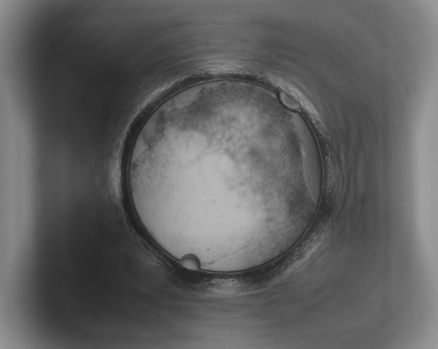 X0000102270391200808081445