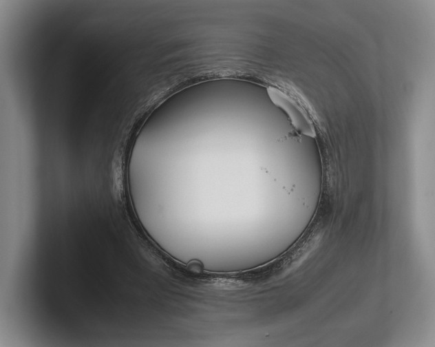 X0000102270393200808081445