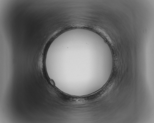 X0000102270395200808081445