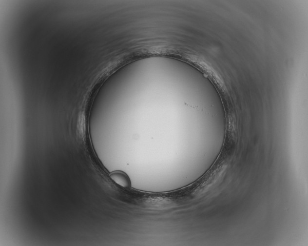 X0000102270397200808081445