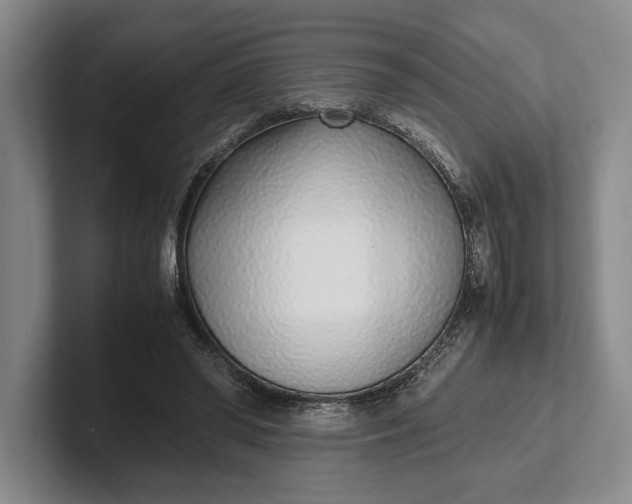 X0000102270398200808081445