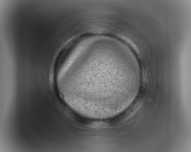 X0000102270399200808081445