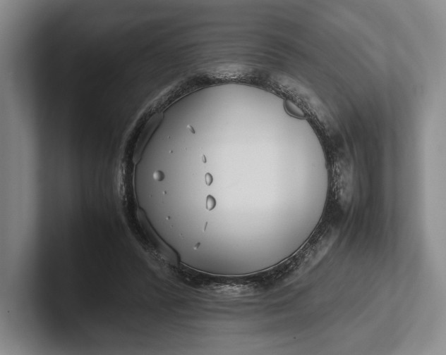 X0000102270400200808081445