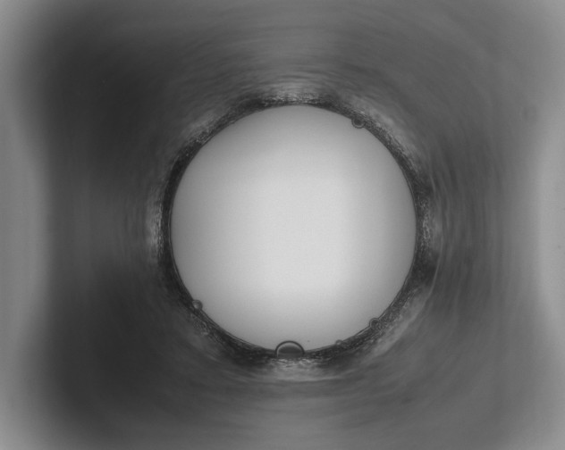 X0000102270403200808081445