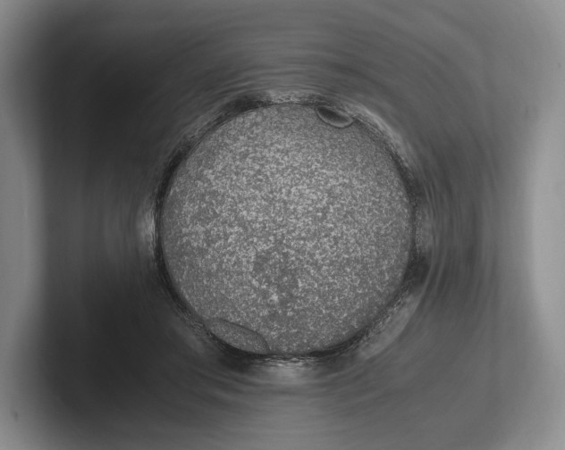 X0000102270405200808081445