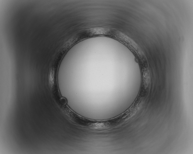 X0000102270406200808081445