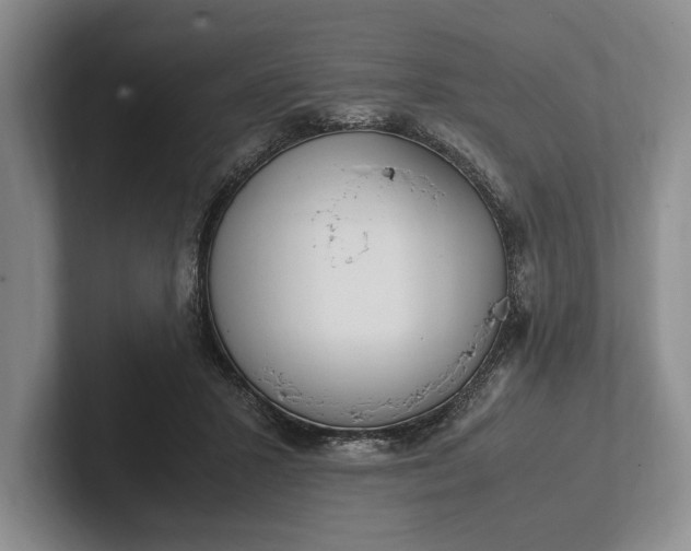 X0000102270407200808081445