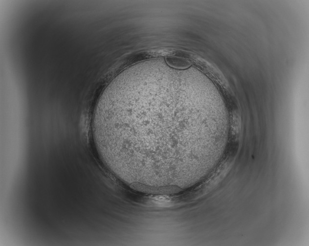 X0000102270409200808081445