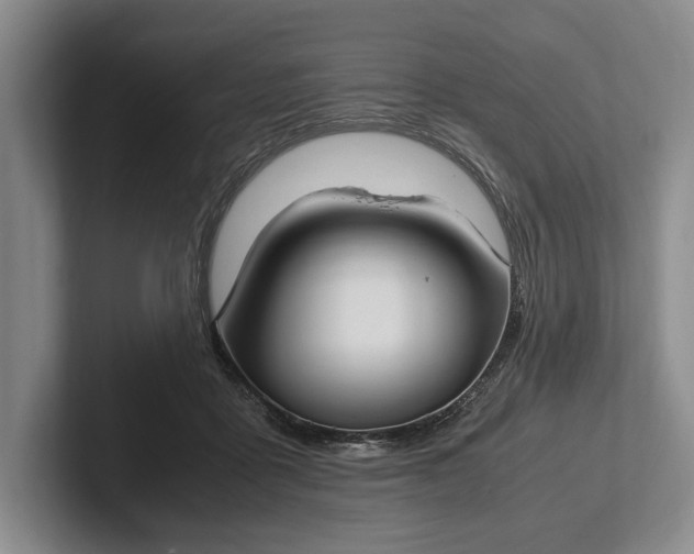 X0000102270411200808081445