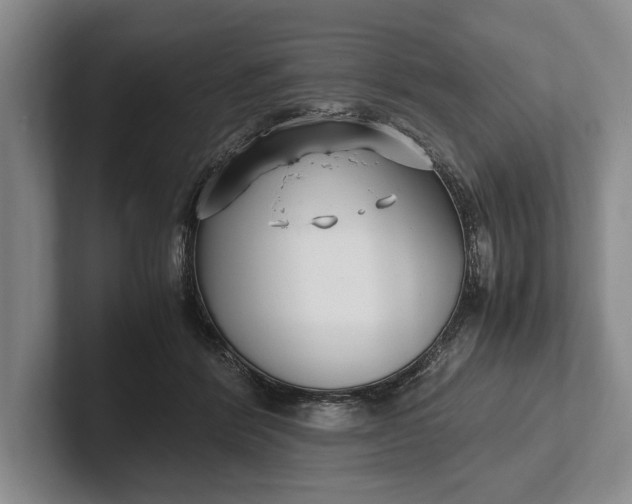 X0000102270412200808081445