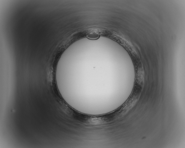 X0000102270413200808081445