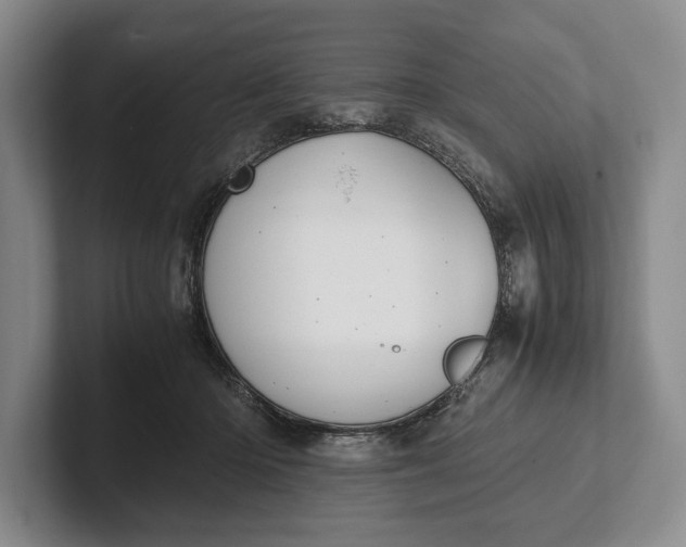 X0000102270414200808081445