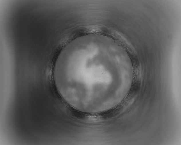 X0000102270415200808081445