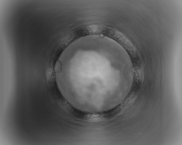 X0000102270419200808081445