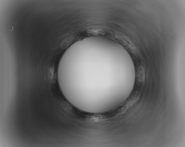 X0000102270420200808081445