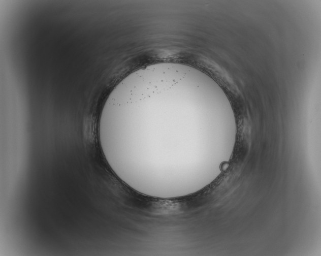 X0000102270421200808081445