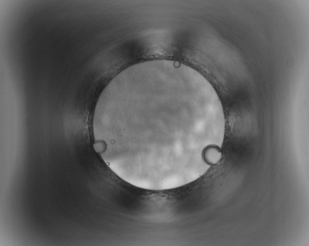 X0000102270423200808081445