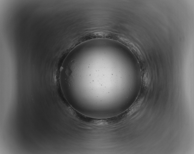 X0000102270424200808081445