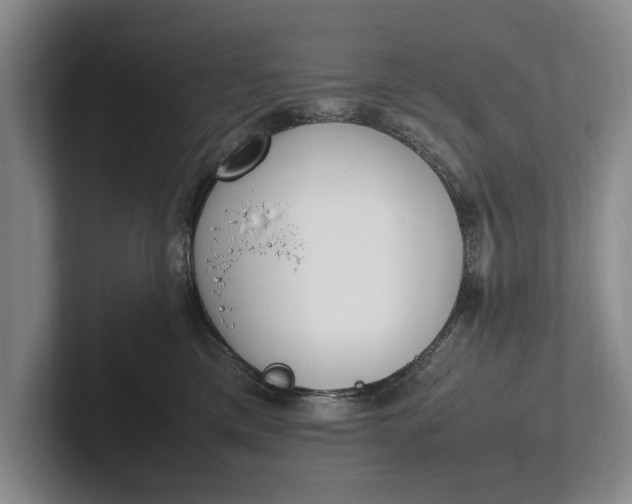 X0000102270425200808081445