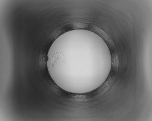 X0000102270426200808081445