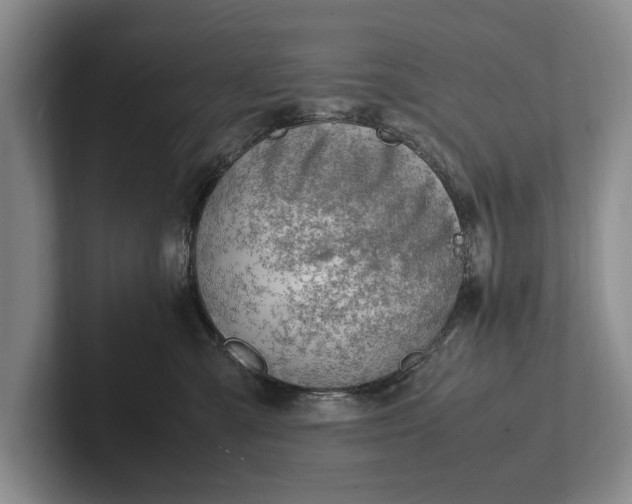 X0000102270427200808081445