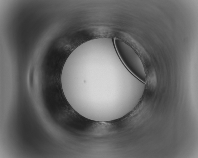 X0000102270429200808081445