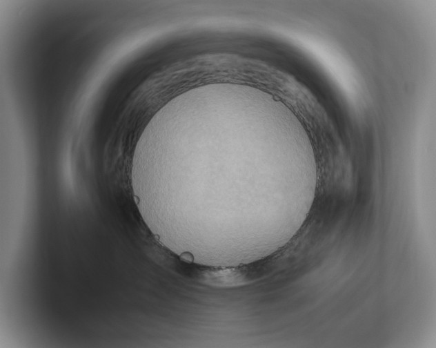 X0000102270431200808081445