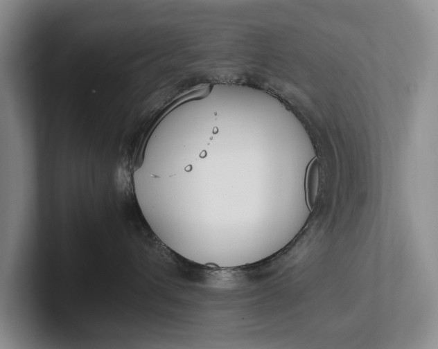 X0000102270432200808081445