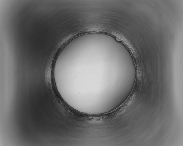 X0000102270434200808081444