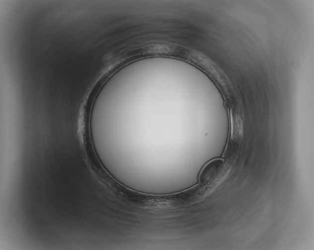 X0000102270435200808081444