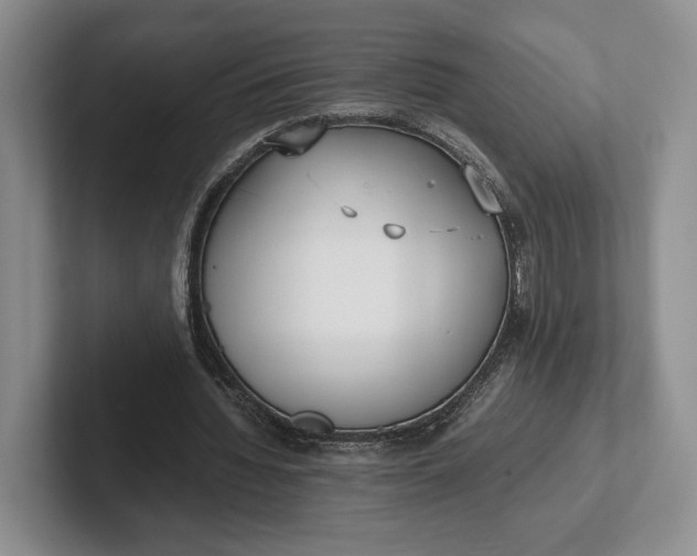 X0000102270436200808081444