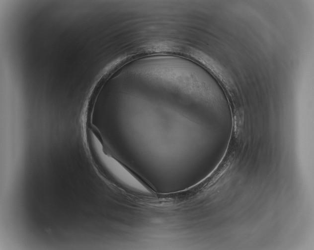 X0000102270438200808081444