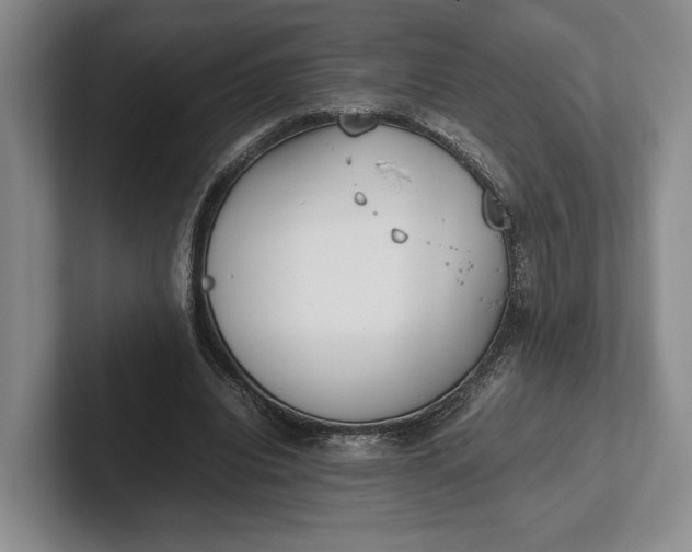 X0000102270440200808081444