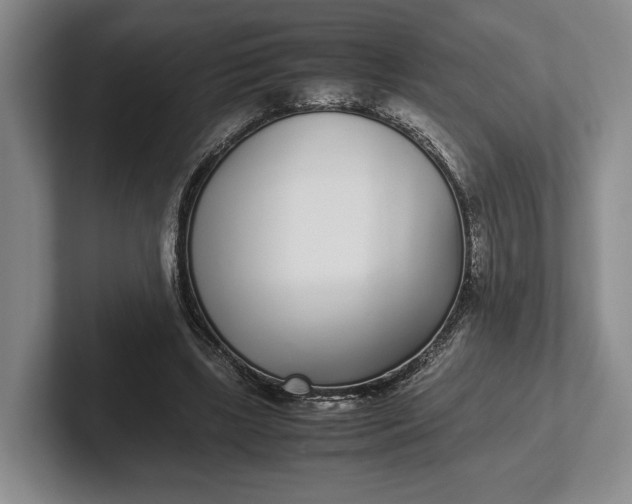 X0000102270443200808081444