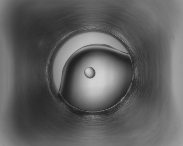 X0000102270444200808081444