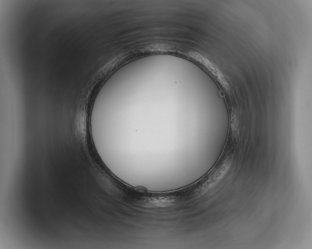 X0000102270445200808081444