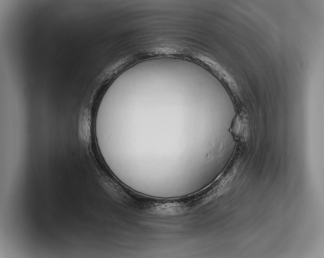 X0000102270446200808081444