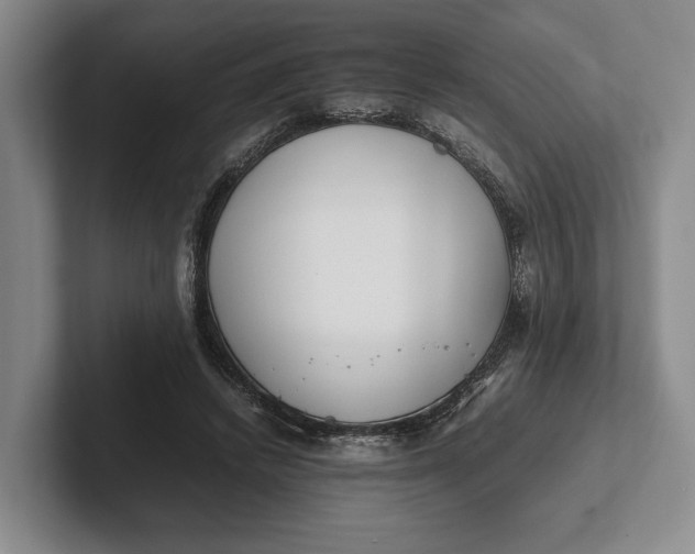 X0000102270448200808081444