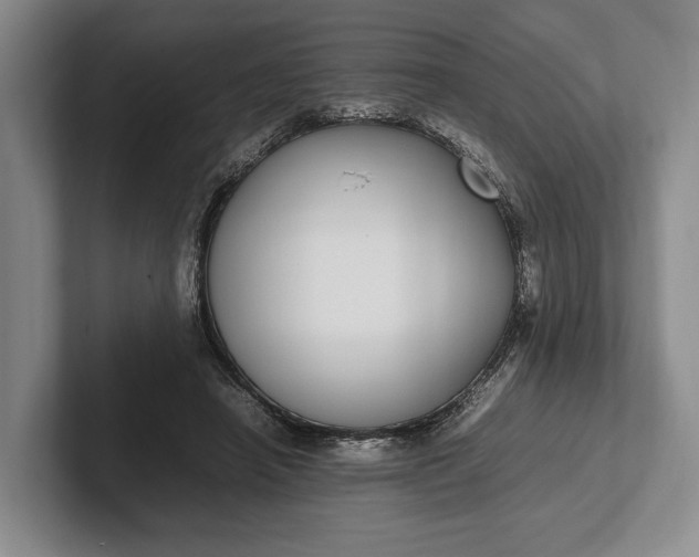 X0000102270450200808081444