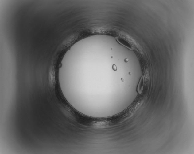 X0000102270452200808081444