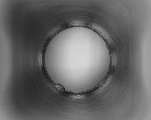 X0000102270453200808081444