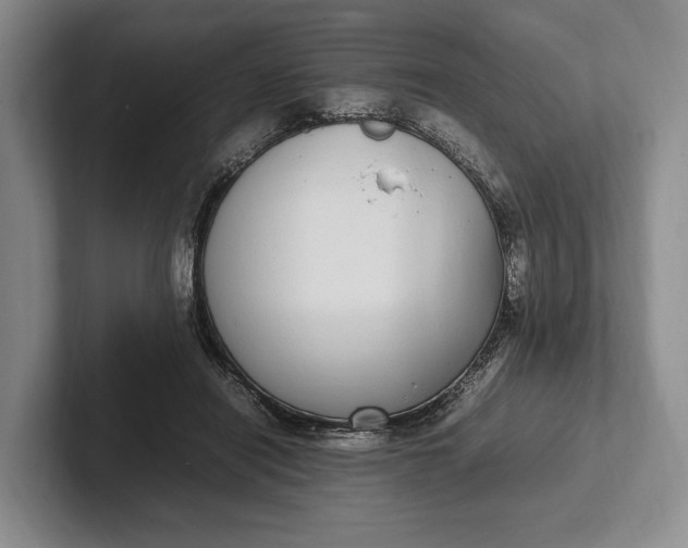 X0000102270454200808081444