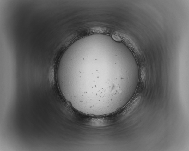 X0000102270457200808081444