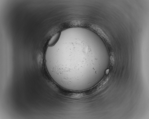 X0000102270458200808081444