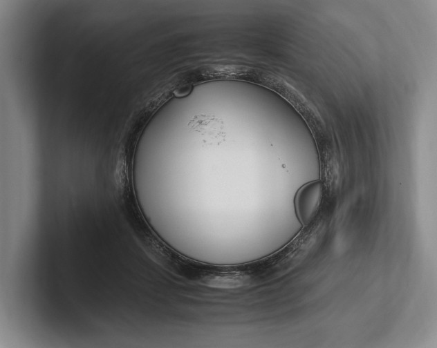 X0000102270459200808081444