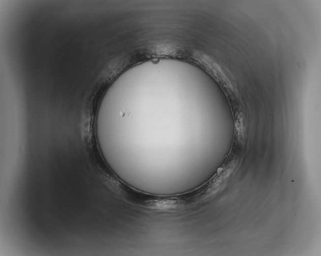 X0000102270462200808081444