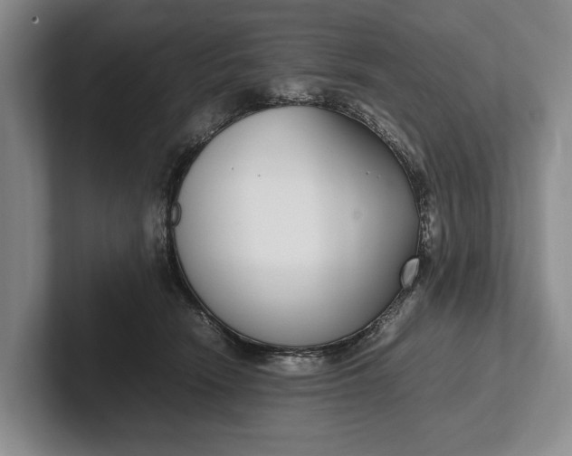 X0000102270466200808081444