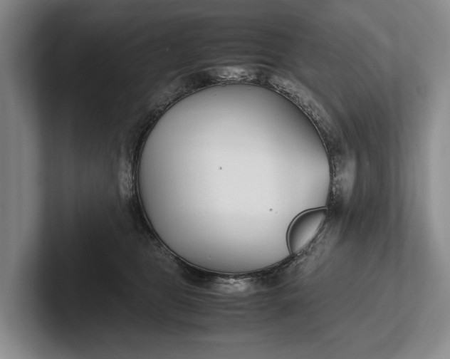 X0000102270469200808081444