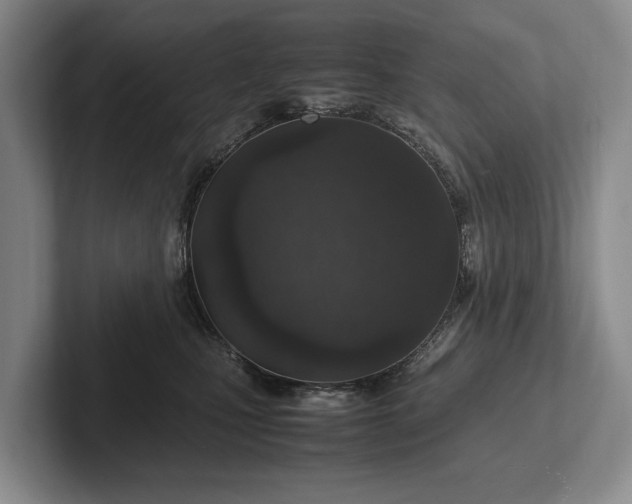 X0000102270471200808081444